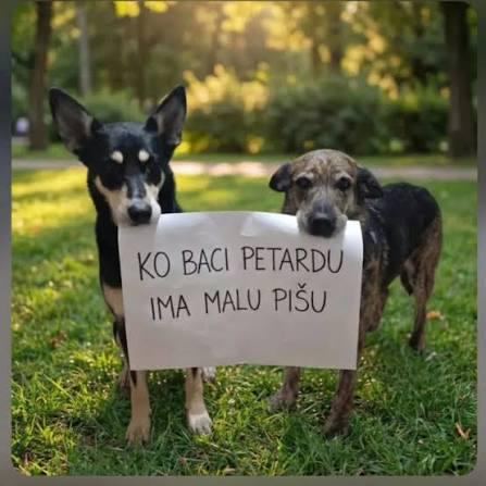 WHOEVER SETS OFF FIREWORKS HAS A LITTLE LUCK