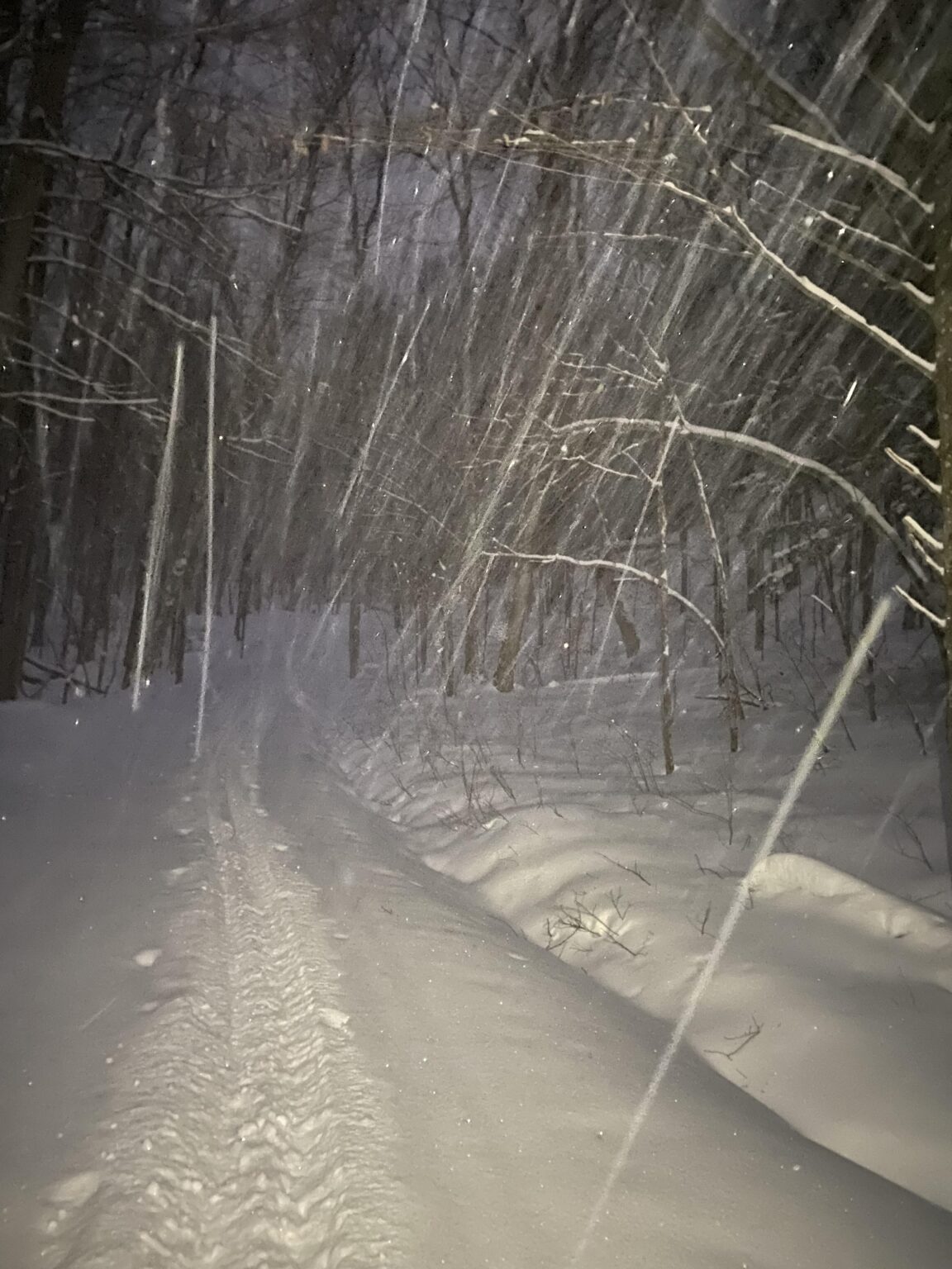 Blistering snowstorm on Gatineau Park ski trails