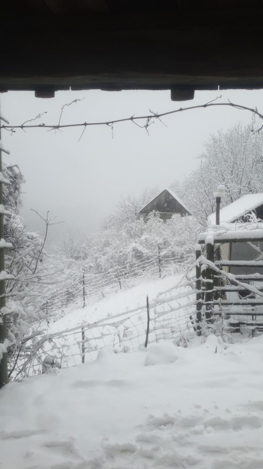 This is what my walk to the store looks like a little while ago 😅