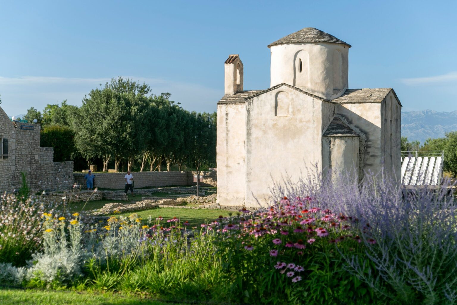 Sustainable Tourism in Nin Growing Thanks to Tree Planting