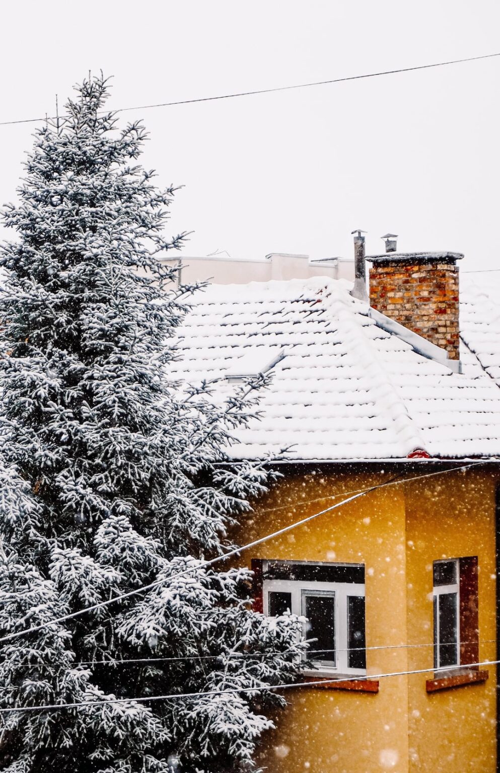 I am sending you some snow for Christmas