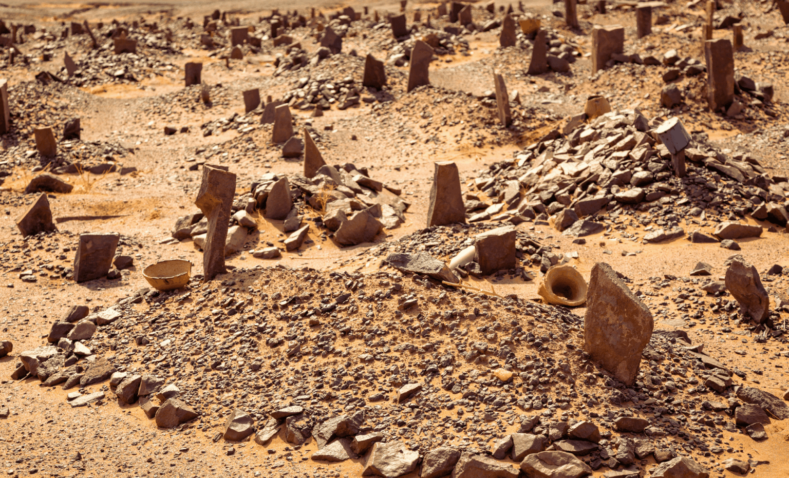 Archaeologists Uncover 2,000 Year Old Pet Cemetery In Egypt