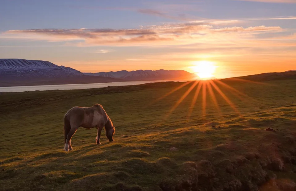 <p>Daniel Bay Jensen/Shutterstock</p>