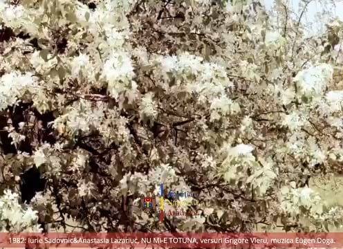 VIDEO 1982: Iurie Sadovnic and Anastasia Lazariuc, NU MI E TOTUNA, lyrics by Grigore Vieru, music by Eugen Doga.