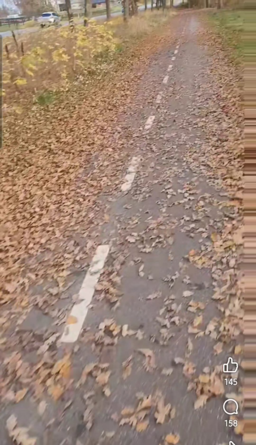You know the snow hater. Meet the leaf hater.