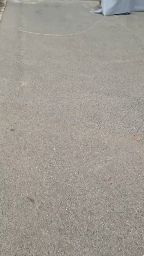 Victory of the citizens of Čukarica - after several months of pressure, the illegal laundromat is removed from the parking lot in Košutnjak - ZLF Čukarica