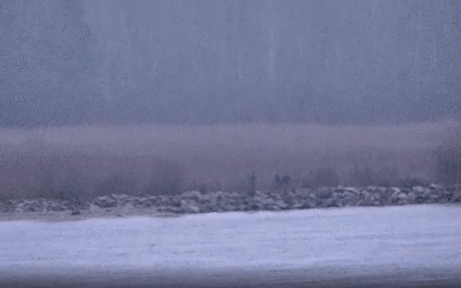 Russian border guards crossed into Estonia with unclear motives, minister says