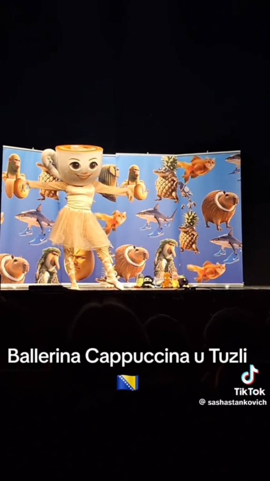 Ballerina Capuccina in Tuzla ladies and gentlemen.