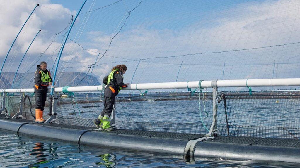 Iceland proposes new legal framework for aquaculture
