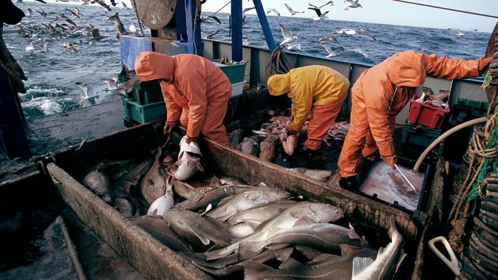 Norway, EU and UK agree on 2026 North Sea fishing quotas