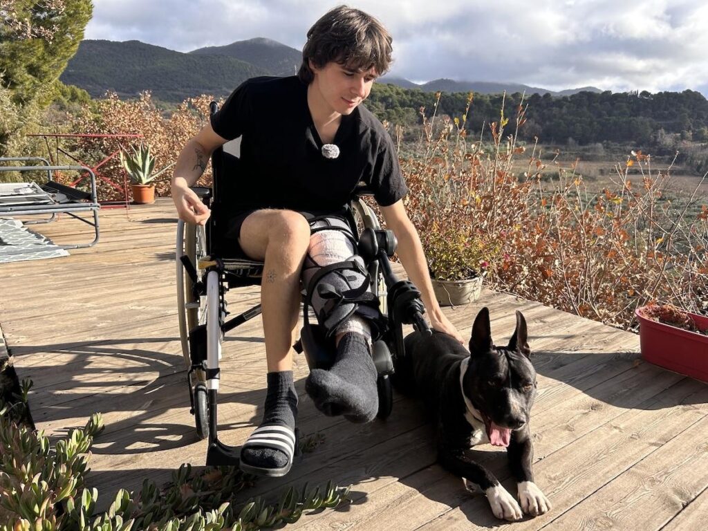 “He confused me with a wild boar”: in the Drôme, a jogger seriously injured by a hunter’s shot