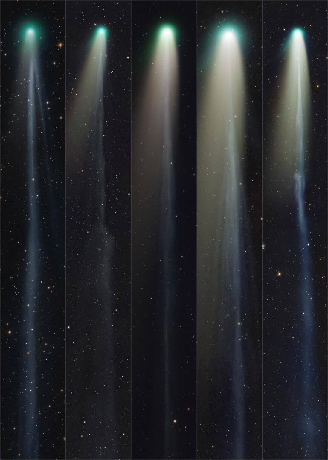 My best comet photographs of 2025 (OC)