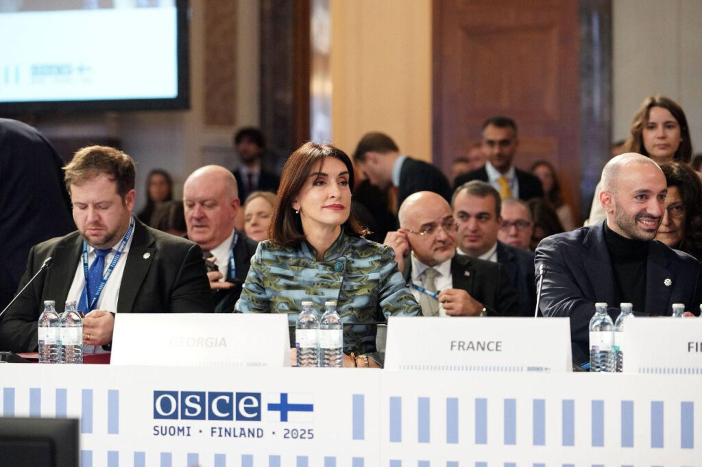 Maka Botchorishvili - Georgia continues to strengthen stability in response to hybrid threats, disinformation and any attempts to undermine sovereignty