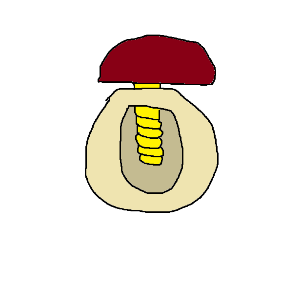 Sorry for my Paint skills, but what is this? People in the market bought these as some kind of thing... Made of wood and called it a mushroom for a time.