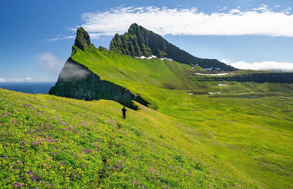 <p>Jan Jerman/Shutterstock</p>