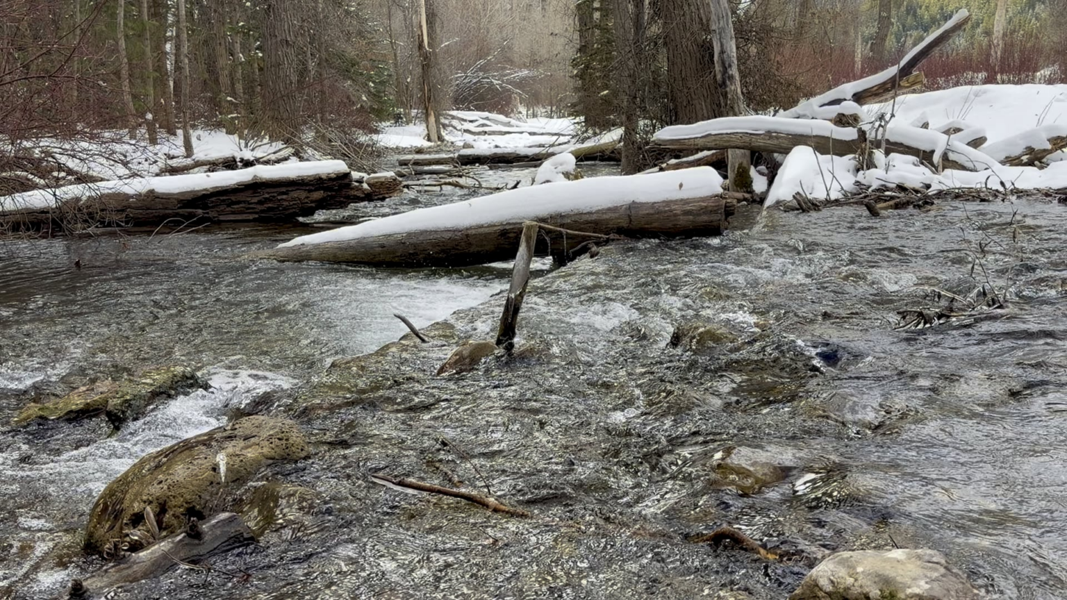 Felt like I was hiking in "The Revenant" today