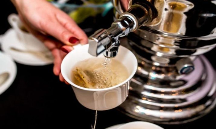 From USA to Japan: Croatian herbal teas conquer global markets From USA to Japan: Croatian herbal teas conquer global markets