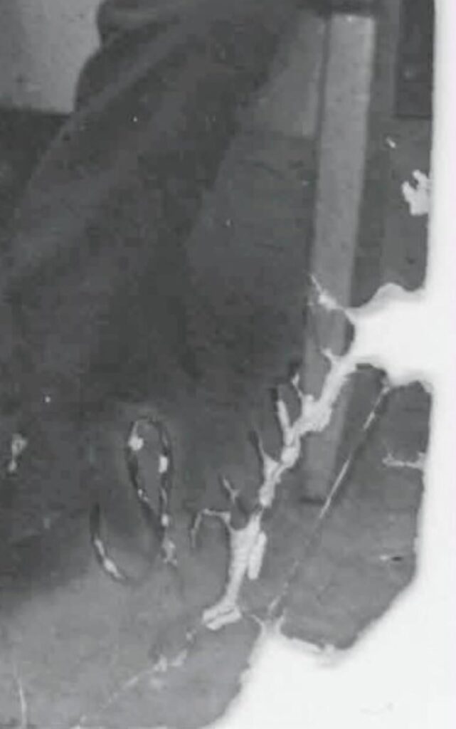 I'm trying to solve a family mystery from a photo