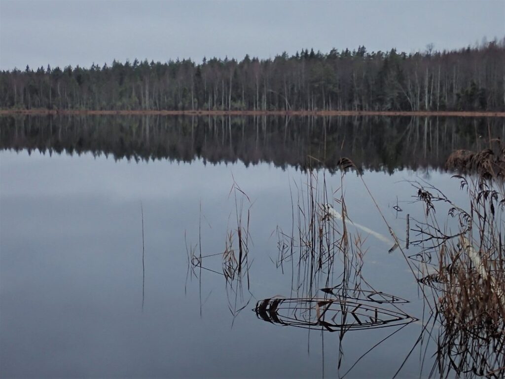 Thursday is already record-warm in Latvia / Article