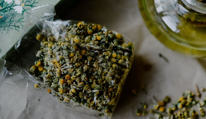 Croatian chamomile 