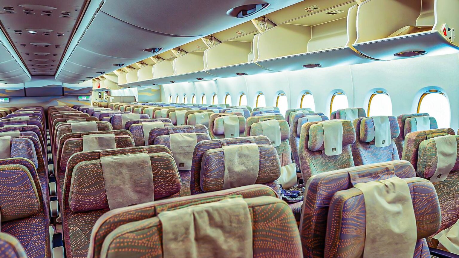7 Comfortable Economy Seats You Can Book Today