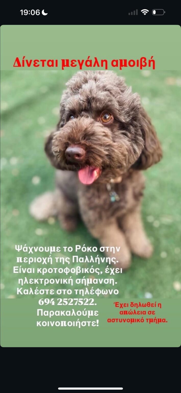 LOST PLEASE HELP!!!!