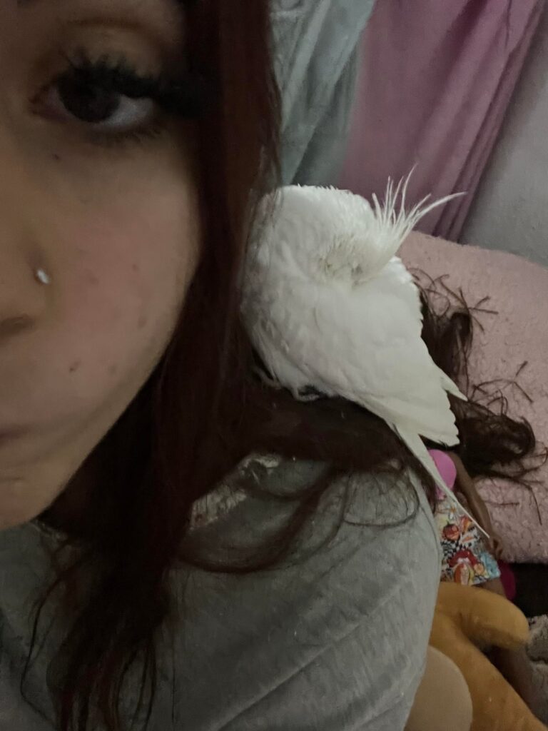 I found this nymph on my window knocking