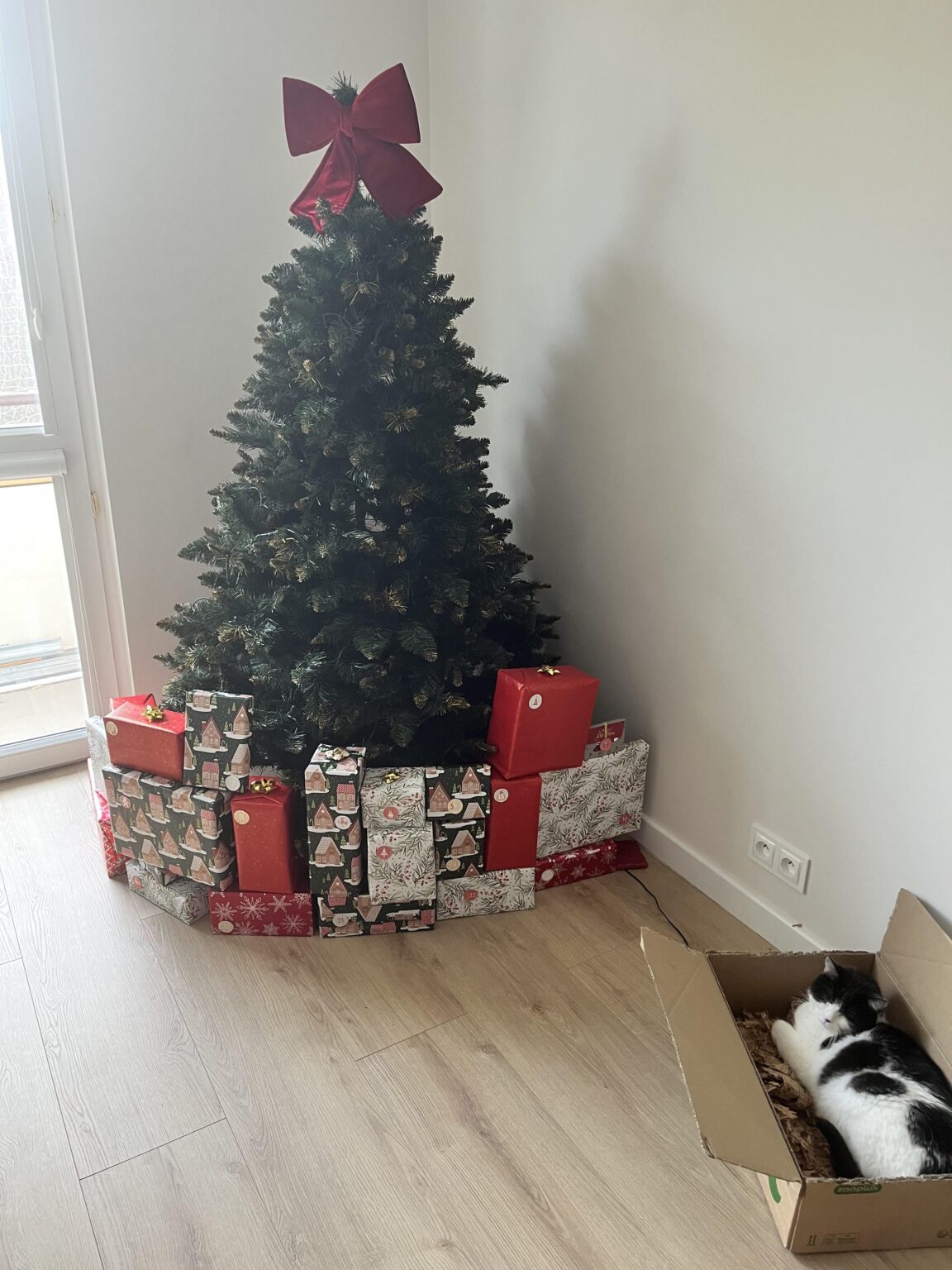 Early Merry Christmas