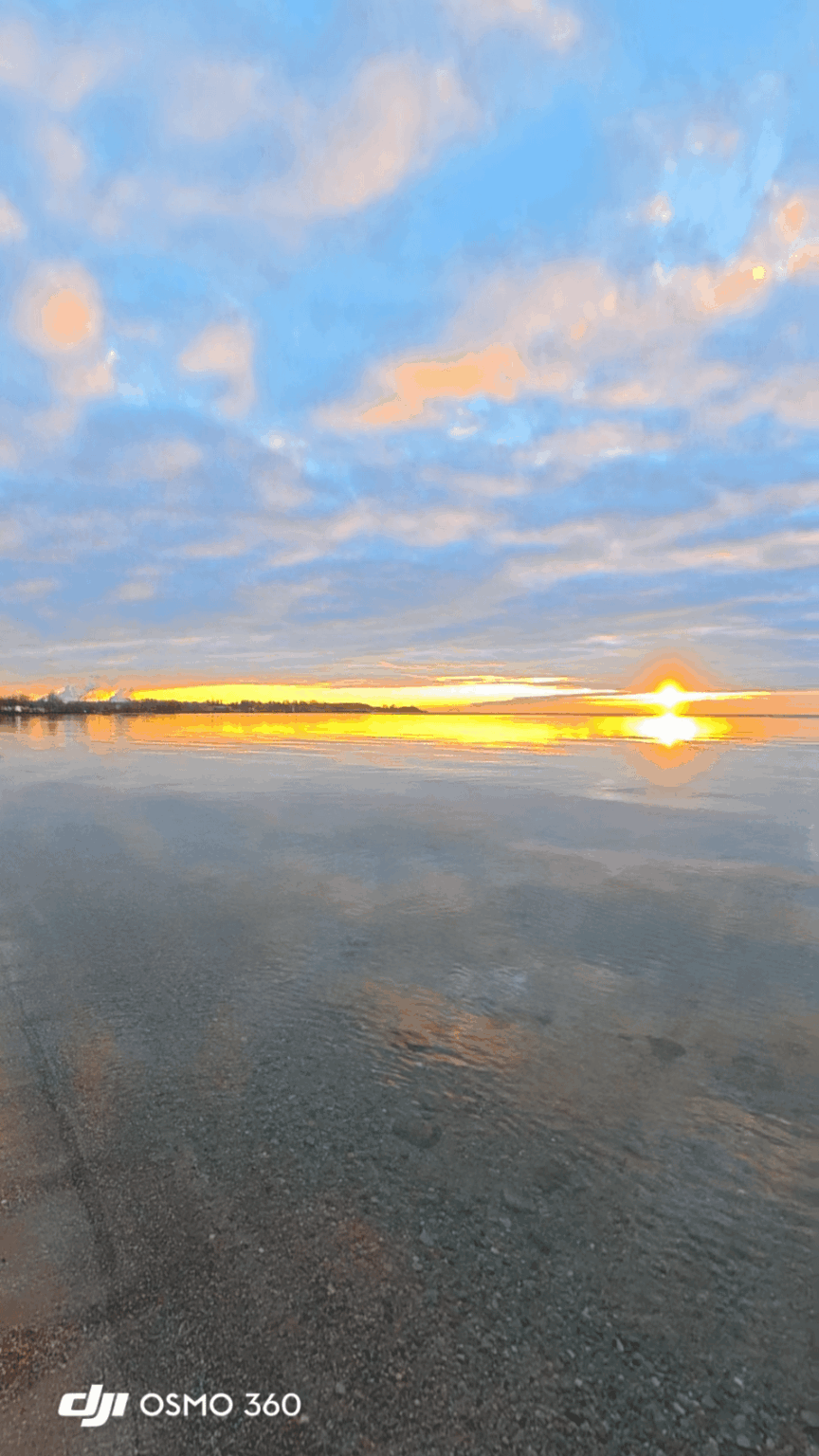 Beautiful Colours of Nature 💙