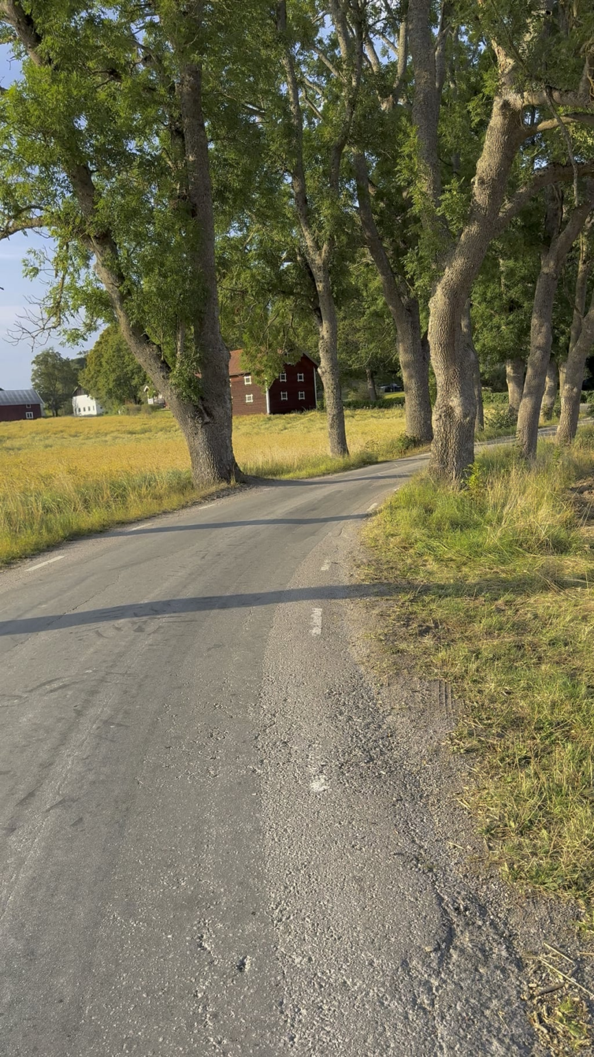 Late summer vibes in Sweden in September 2025