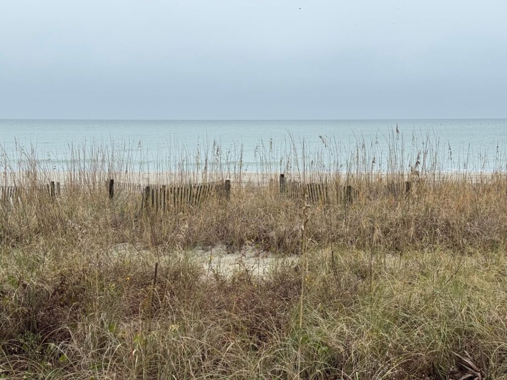 Boardwalk Views in South Carolina