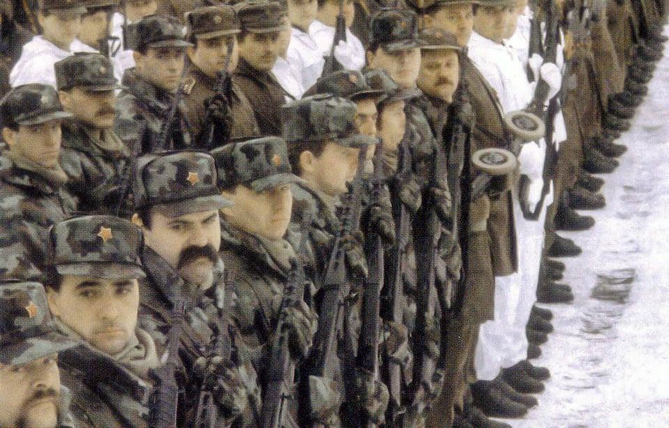 Maybe someone knows which assault weapon the TO members are holding in the picture?