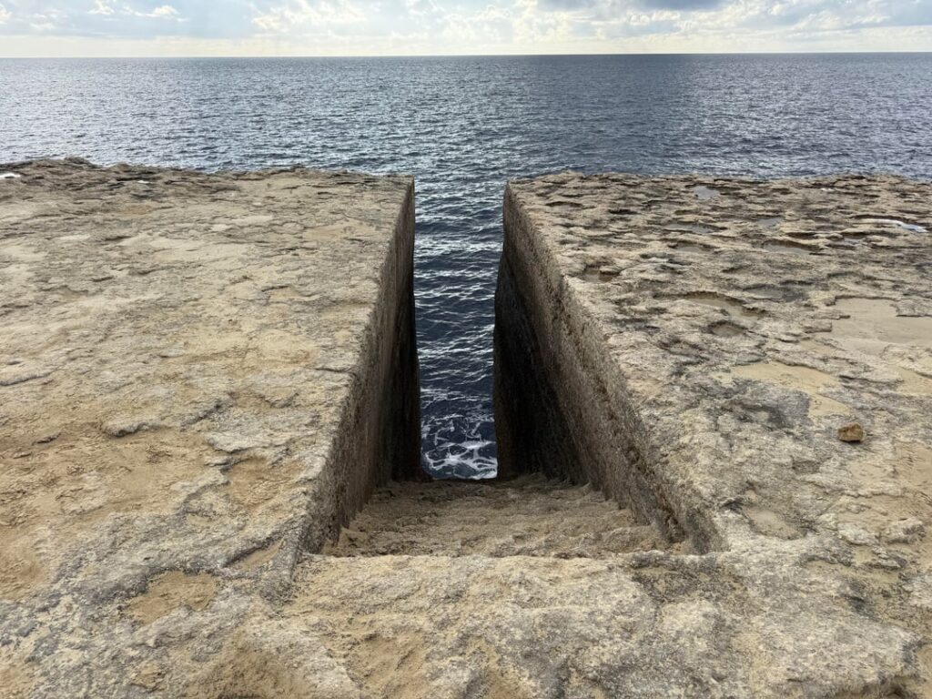 What did I stumble upon today?