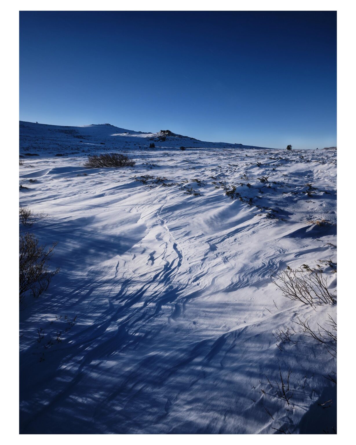 Last Vitosha for 2025