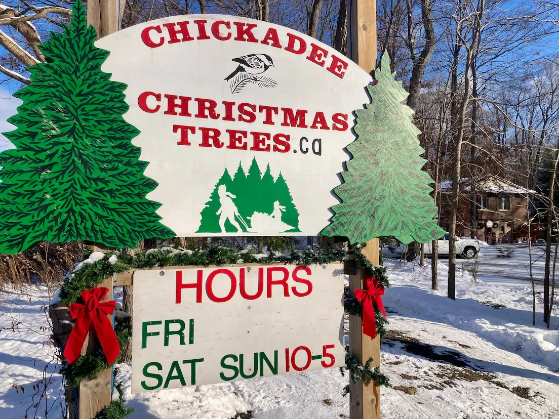 default (1)James Chaarani/CBC