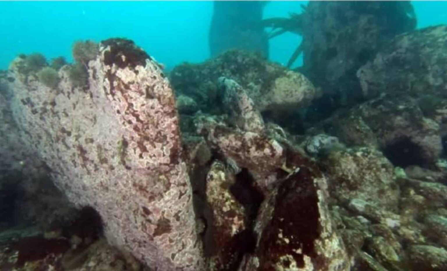 Divers Have Discovered A Long Submerged Wall Some 7,000 Years Old Under The Sea