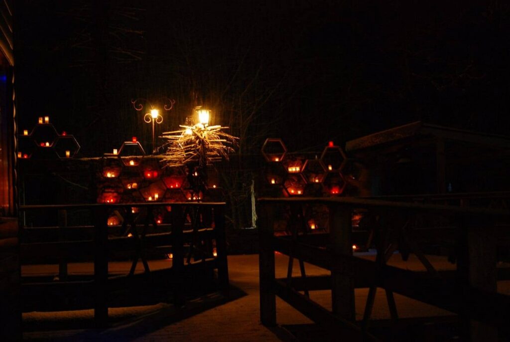 big Xmas market, Depo opening, light park / Article