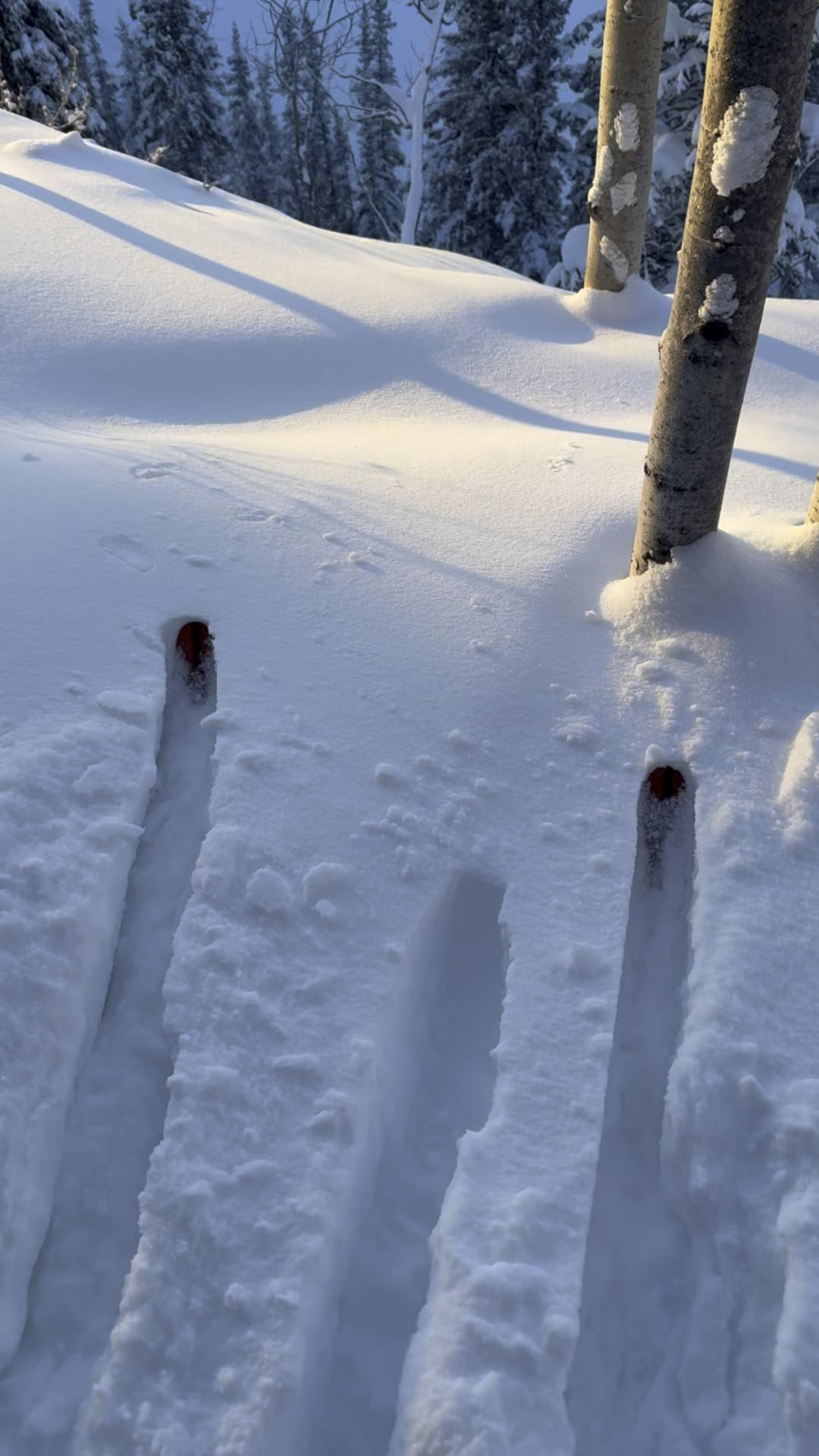 These cold temperatures in the Yukon sure do make for beautiful days. -44 C