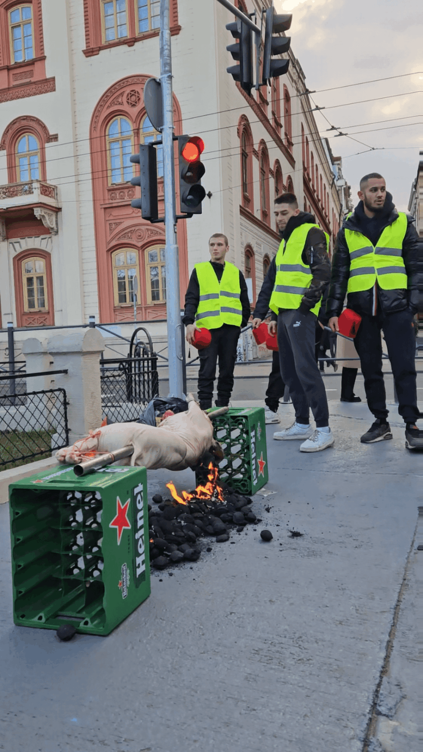 Provocation of čations towards students of the Islamic religion