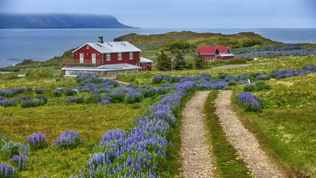 Eastern Iceland Sets December Temperature Record at 19.8°C During Christmas 2025