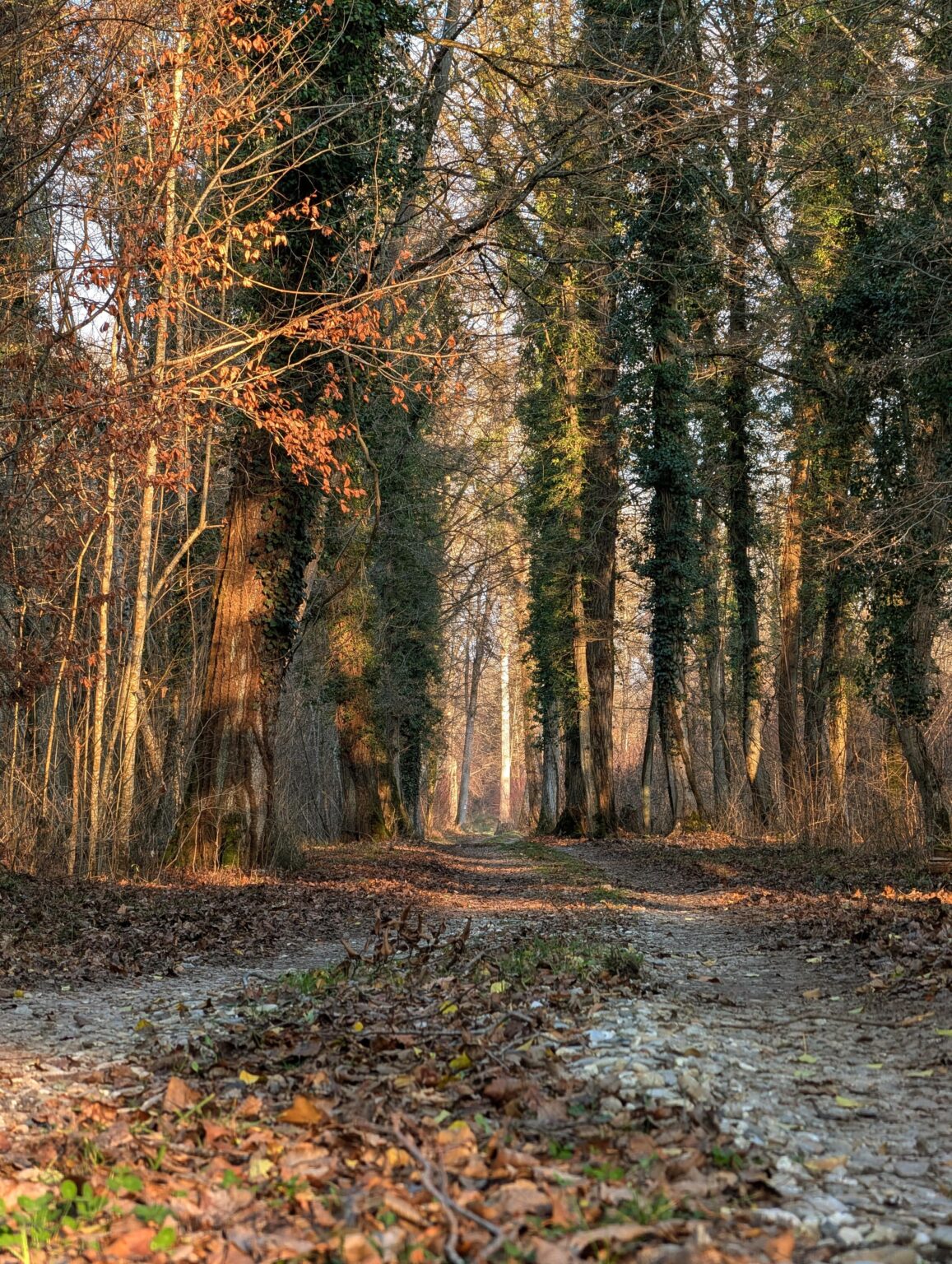 Hottest December in Germany 🇩🇪