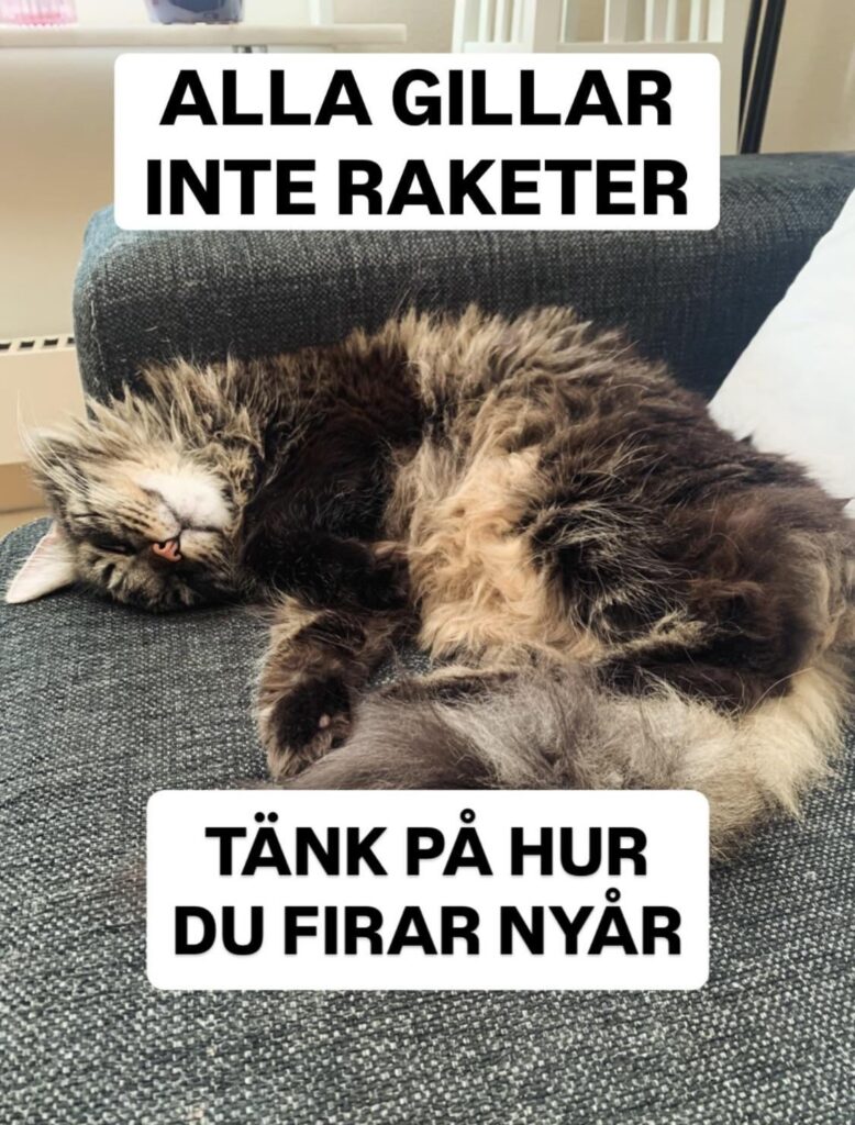 An invitation to think a little about animals and nature