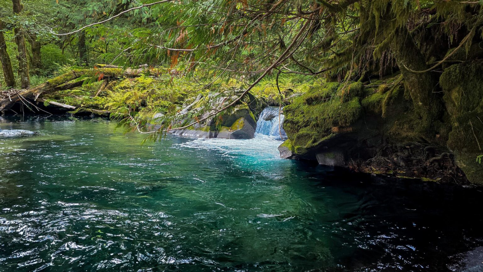 This was a beautiful hike!