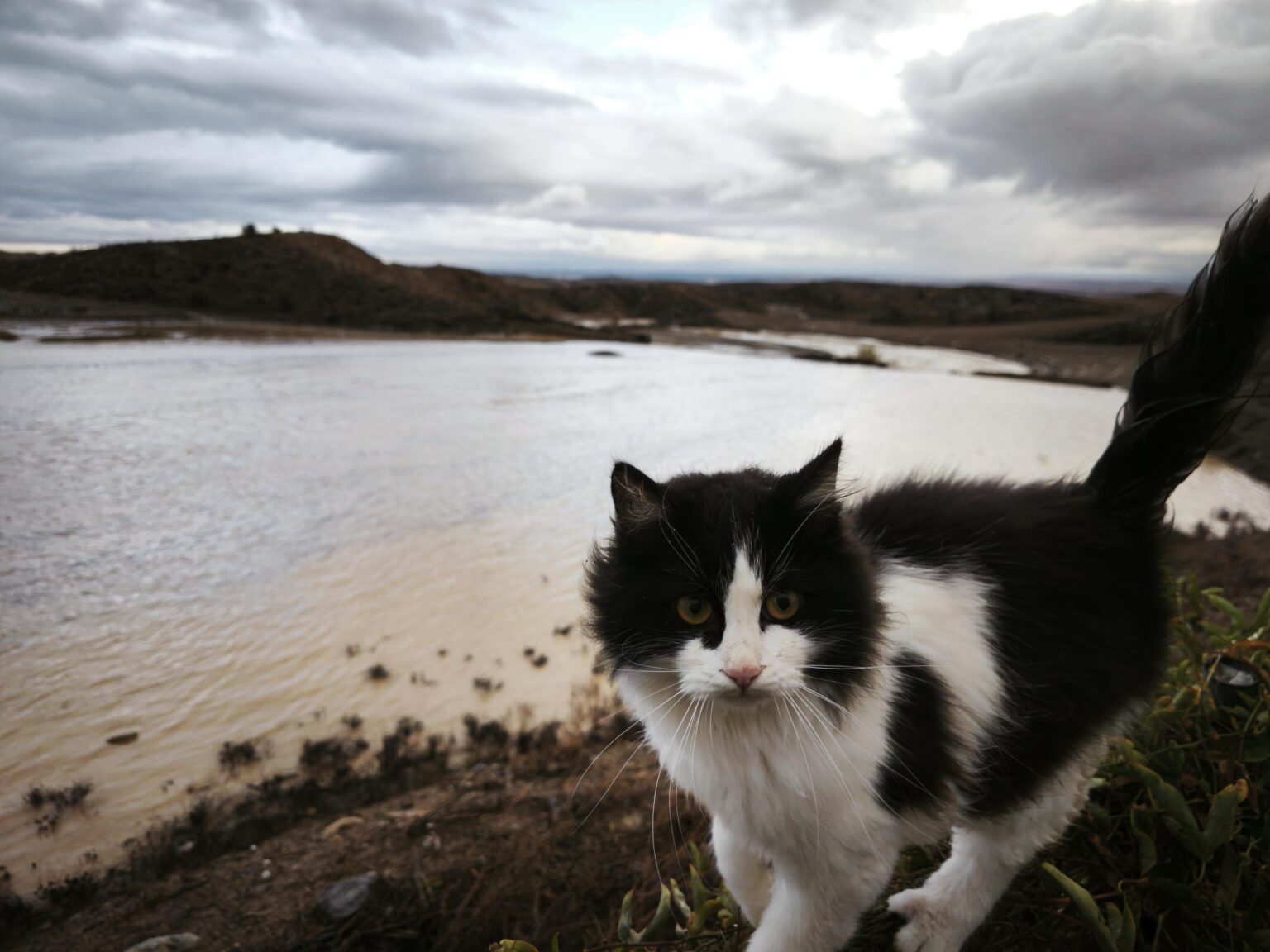 165mm rain today so far! 100mm yesterday!!