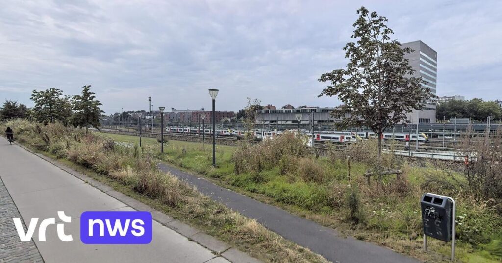 Four minors arrested for homophobic violence in Leuven: man and passer-by assaulted | VRT NWS: news