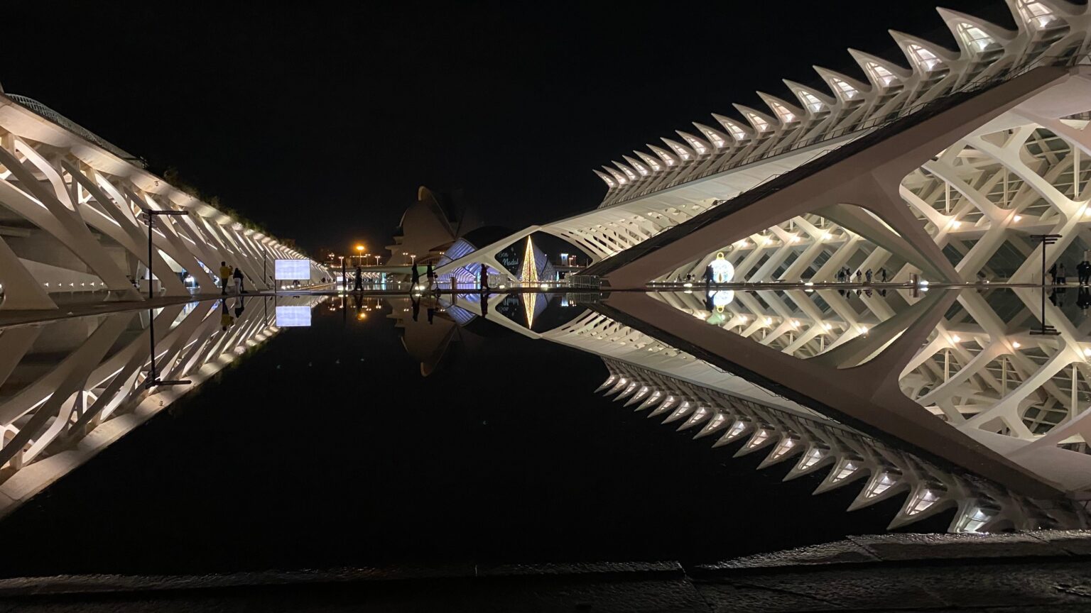 Bon Nadal from Valencia, Spain