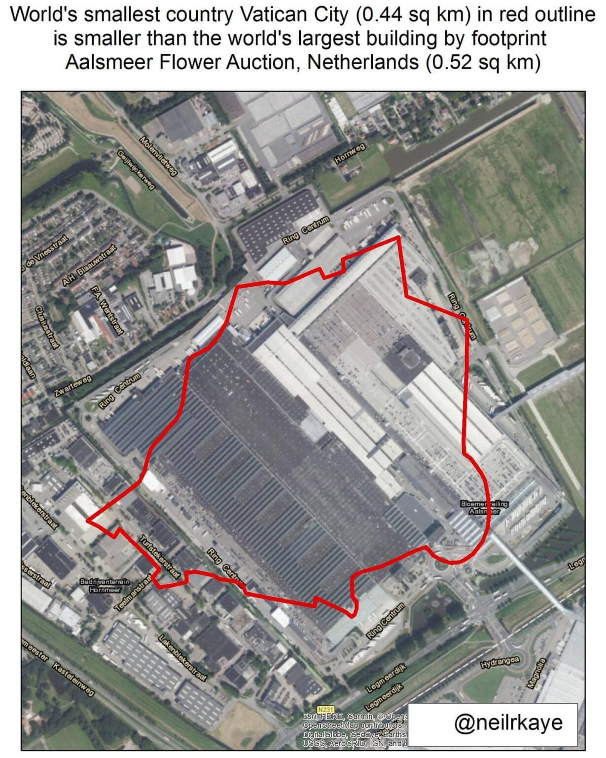 A large building versus Vatican city