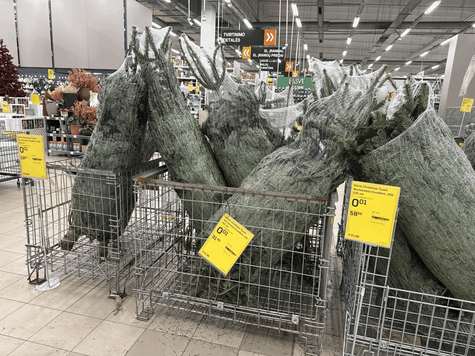 how sad that one day everyone needs Christmas trees, and the next day..