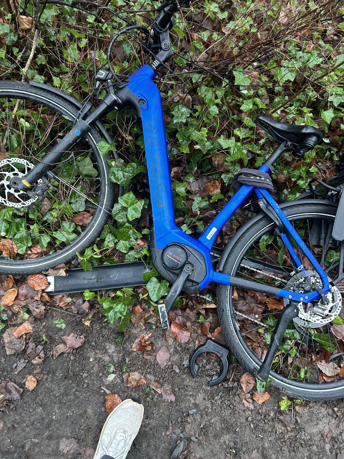 Found bike