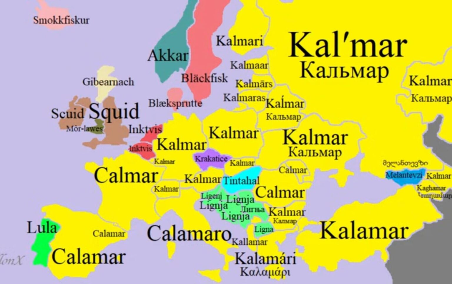 What is the cuttlefish brother?